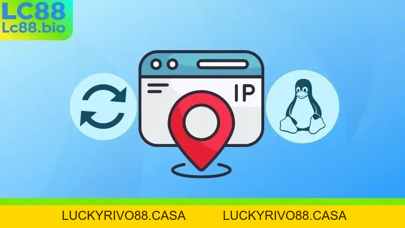 Nằm Mơ Thấy Con Trăn Khổng Lồ - Điềm Báo Gì Về Tài Lộc?