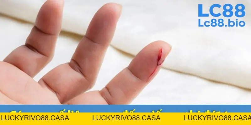 Mơ đứt Tay đánh Số Mấy? Giải Mã Giấc Mơ Về Nỗi Sợ Và Hy Vọng