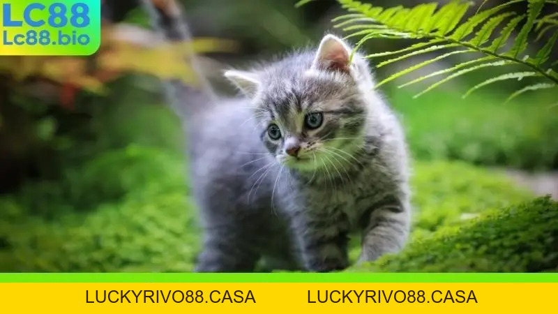 Nằm Mơ Thấy Con Trăn Khổng Lồ - Điềm Báo Gì Về Tài Lộc?